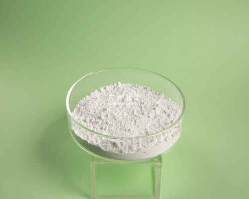 �����ᡤ(�й�)�����ٷ���վ